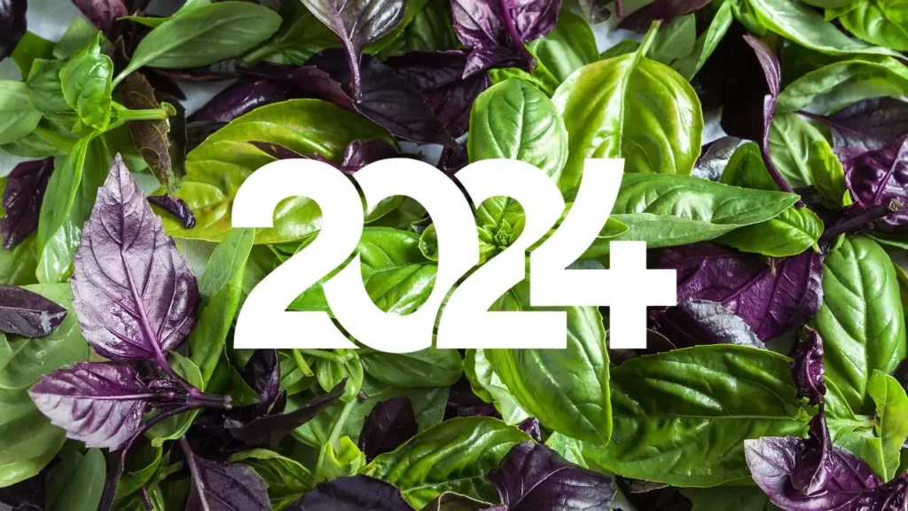 Banho da Virada para 2024: como atrair prosperidade, felicidade e amor