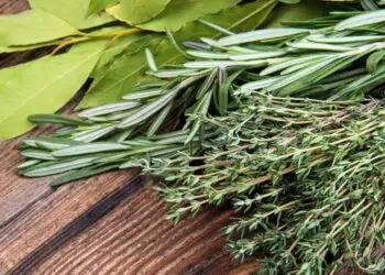 Banho de limpeza para a Lua minguante: renovação e libertação