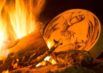 Horóscopo Indígena: Descubra o seu signo e características