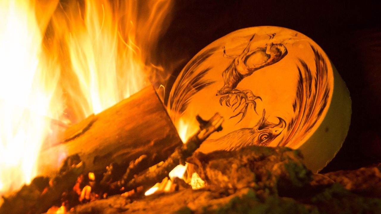 Horóscopo Indígena: Descubra o seu signo e características