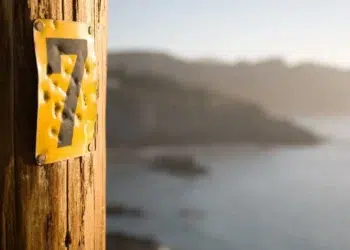 Numerologia: 7 é o número que irá reger a Terra em 2023