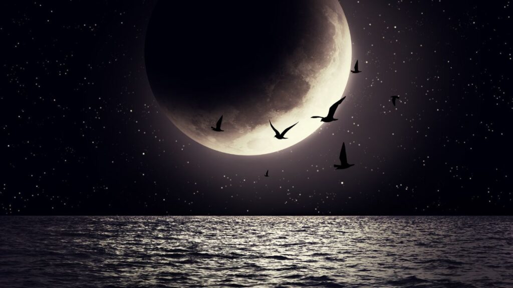 Lua Nova em Capricórnio: A disciplina que transforma