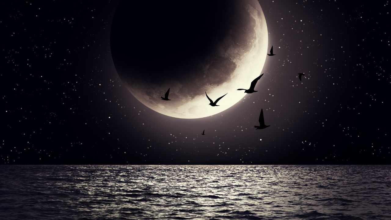 Lua Nova em Capricórnio (11/01/2024): A disciplina que transforma