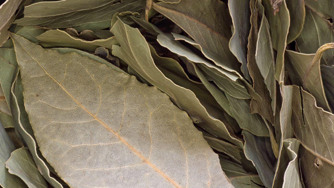 Simpatia das 3 folhas de Louro para realizar desejos