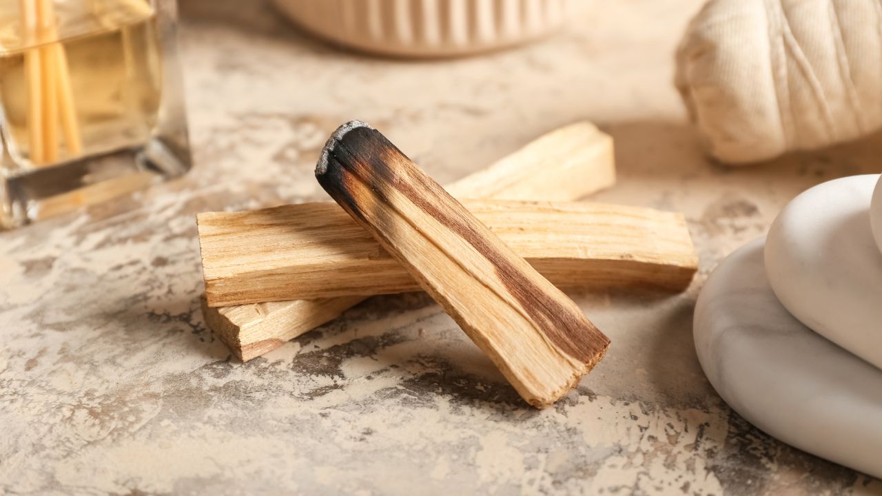 Simpatia do Palo Santo para purificação e harmonia no ambiente