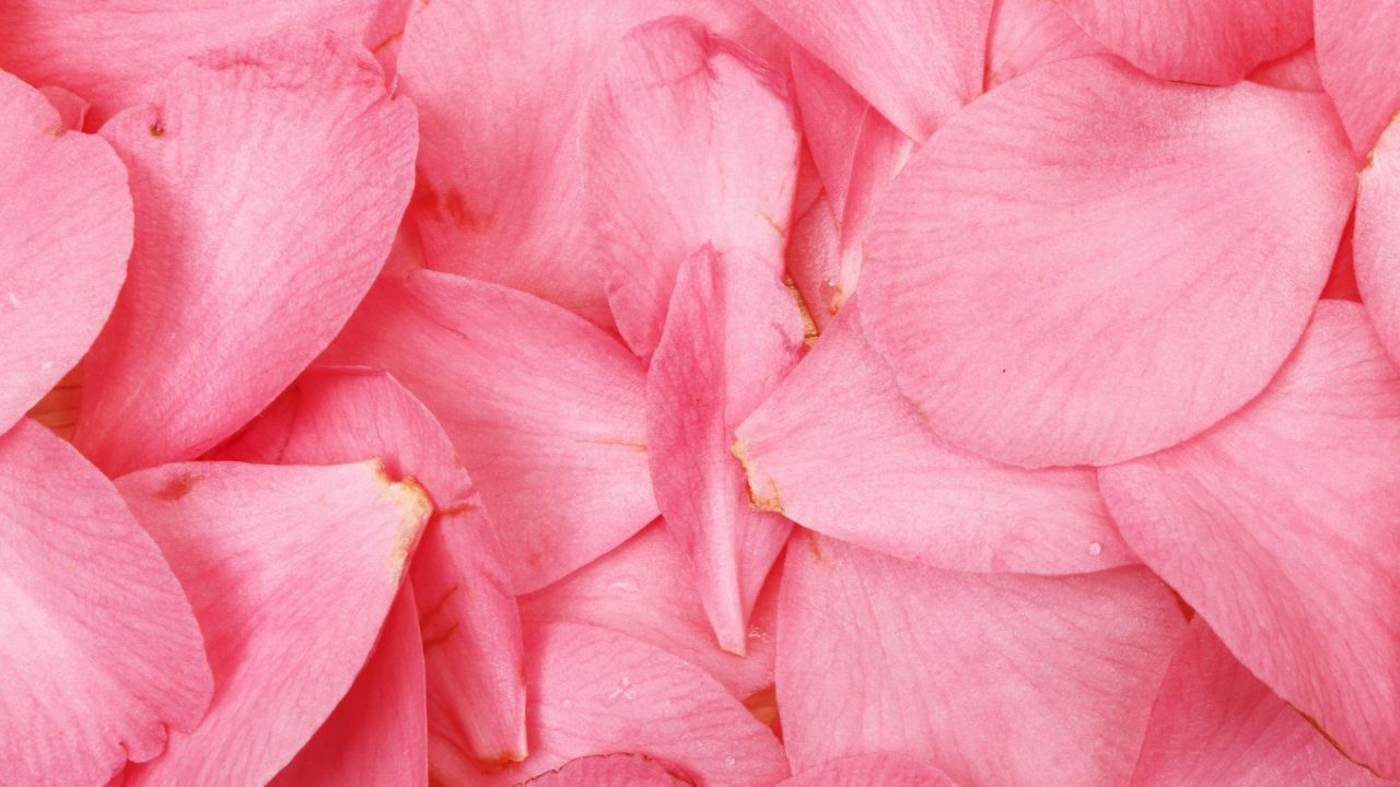 Simpatia das pétalas de rosa para intenções específicas