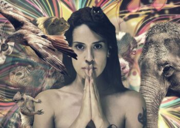 Horóscopo Xamânico: descubra o seu signo e personalidade