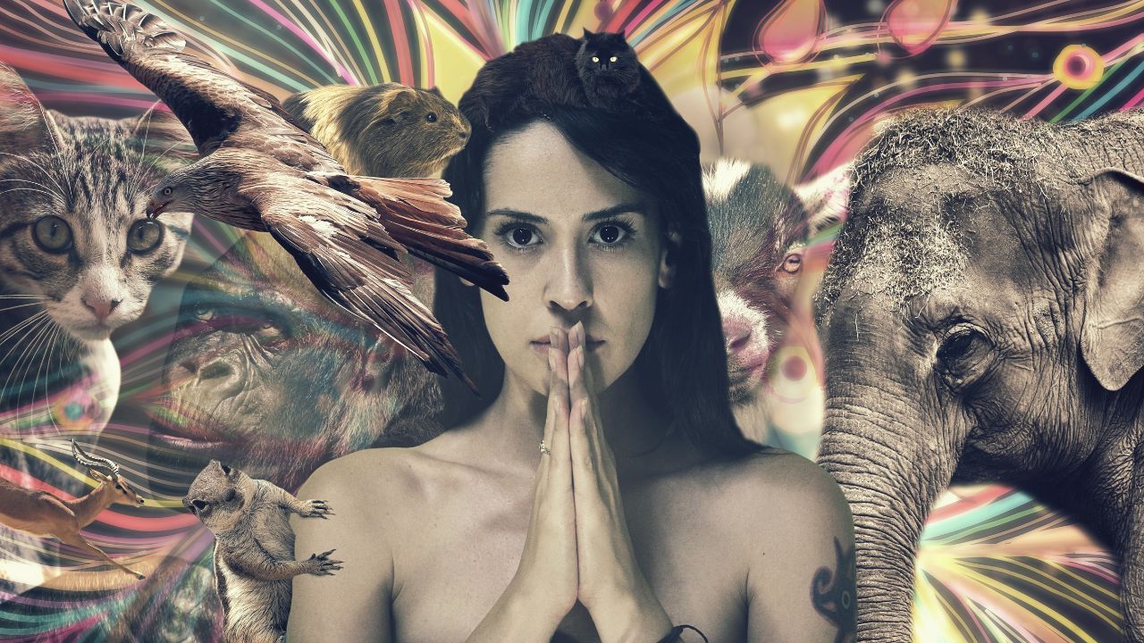 Horóscopo Xamânico: descubra o seu signo e personalidade