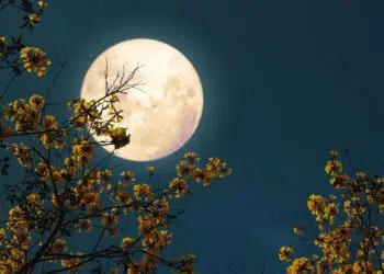 Lua cheia das flores (23/05): significado cultural e espiritual