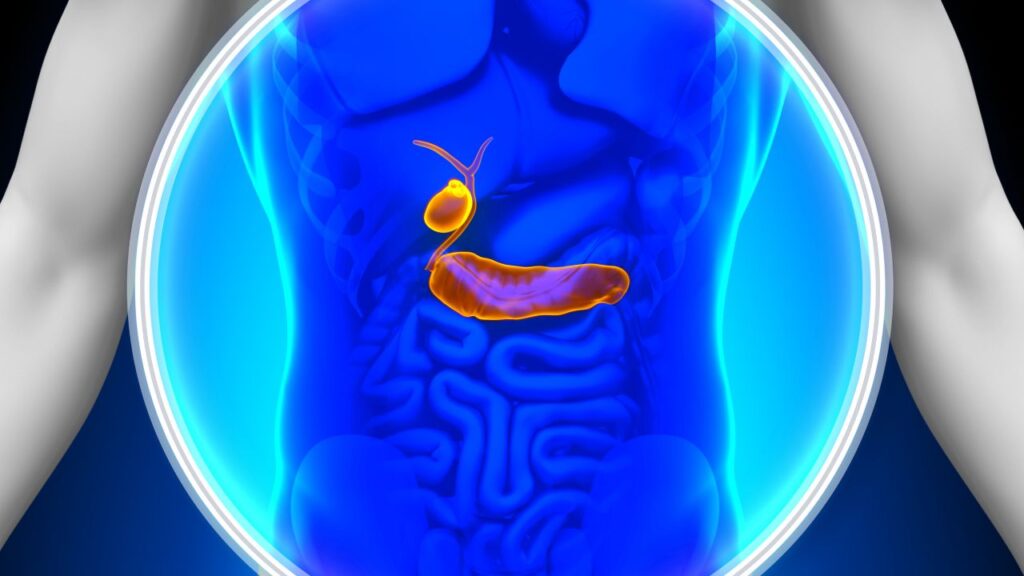 Vesícula Biliar: A catalisadora de emoções, decisões e mudanças