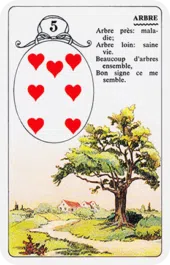 card-32