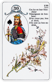 card-3