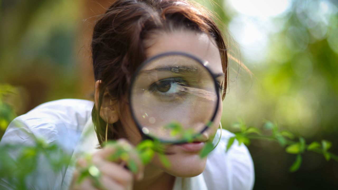 Horóscopo (15 a 21/07/2024): energia de curiosidade e comunicação