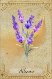 card-19