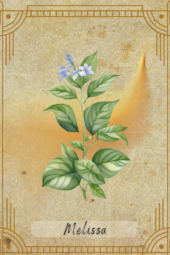 card-18