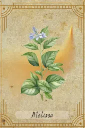 card-26