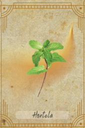 card-30