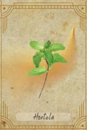 card-18