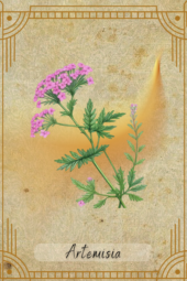 card-17
