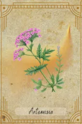 card-5