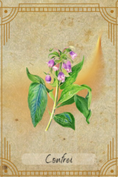 card-31