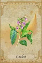 card-4