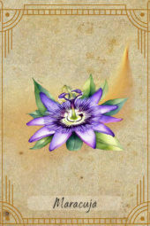 card-33