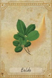 card-20