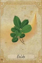 card-23
