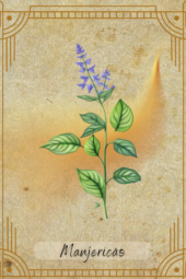card-2