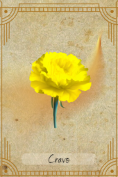 card-3