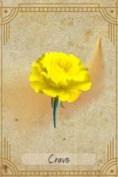 card-36