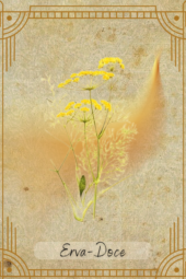 card-21