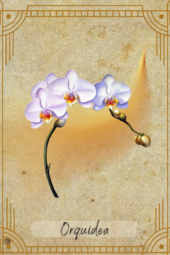 card-28