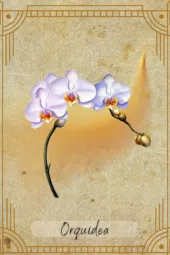 card-14