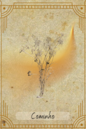 card-14