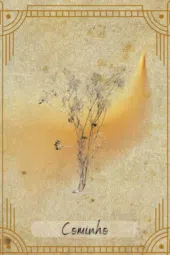 card-6