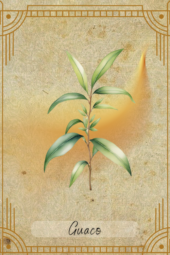 card-34