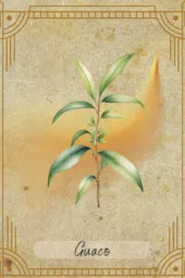 card-10