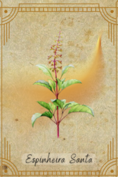card-7