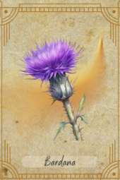 card-10