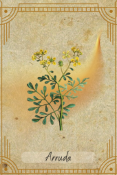 card-26