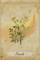 card-22