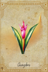 card-27