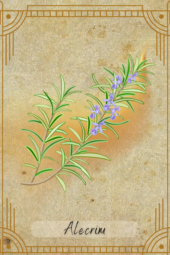 card-36
