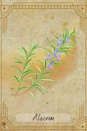 card-35