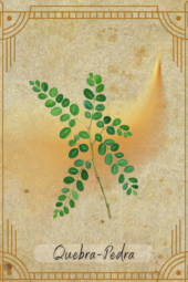 card-12