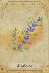 card-25
