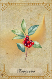 card-4