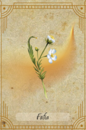 card-25